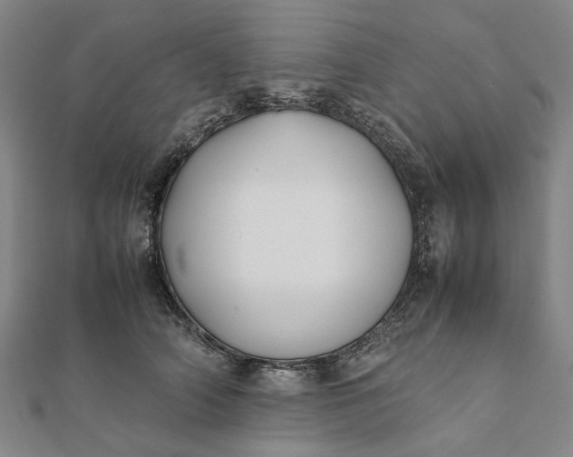 X0000112070706200908181220