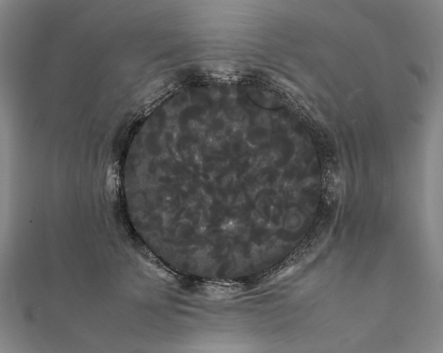 X0000112070707200908181220