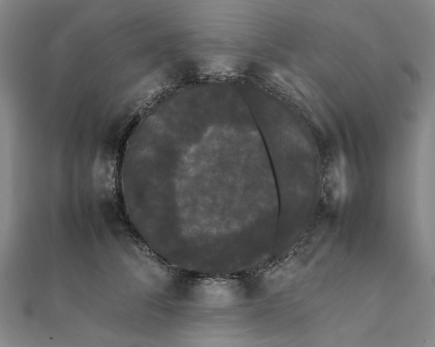 X0000112070708200908181220