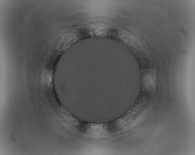 X0000112070709200908181220