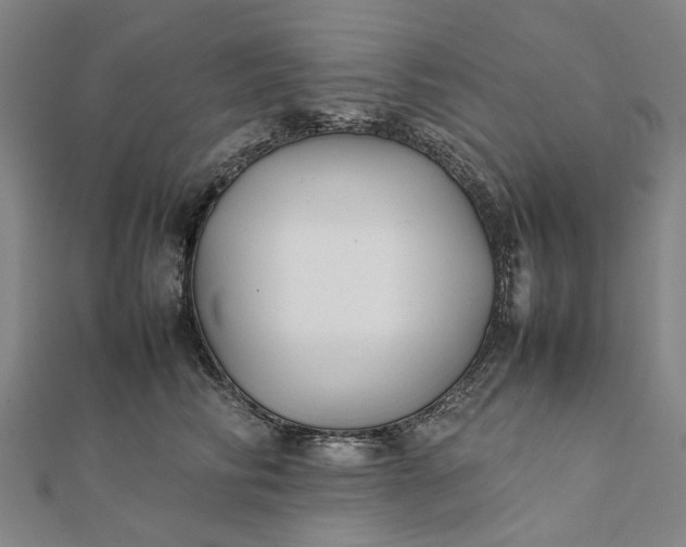 X0000112070710200908181220