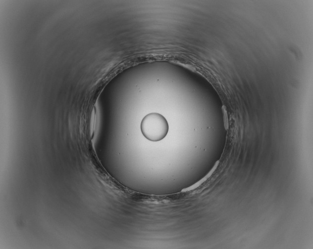 X0000112070712200908181220