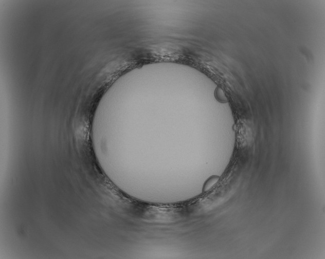 X0000112070713200908181220