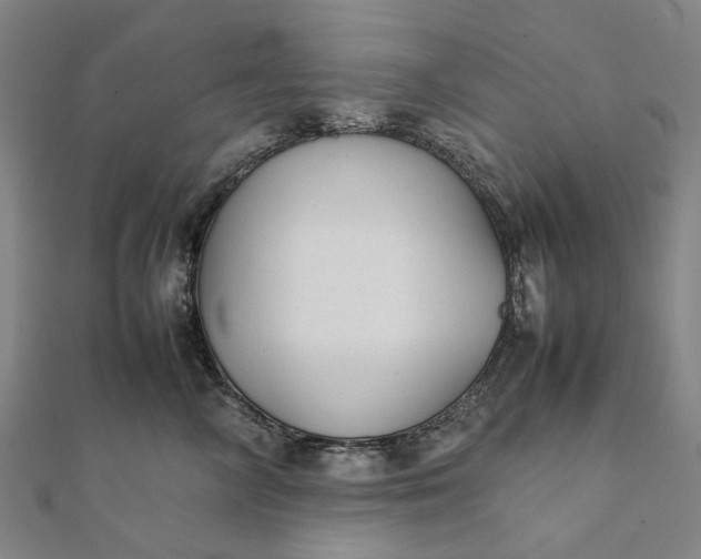 X0000112070714200908181220