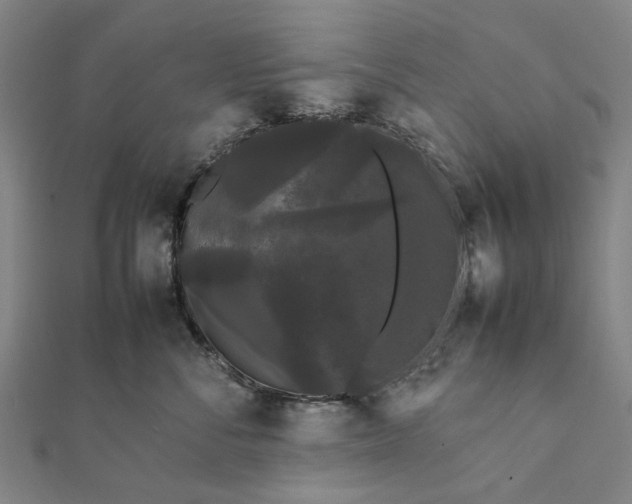 X0000112070716200908181220