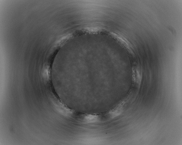 X0000112070718200908181220