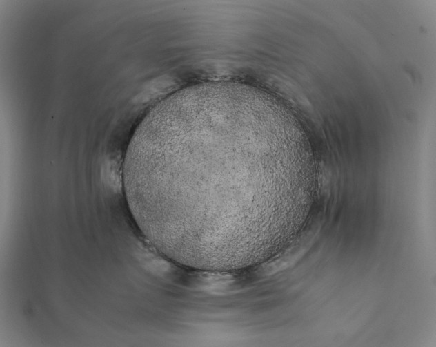 X0000112070719200908181220