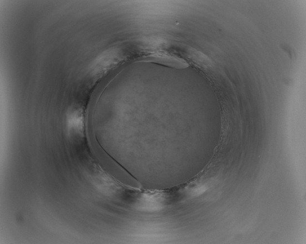 X0000112070720200908181220