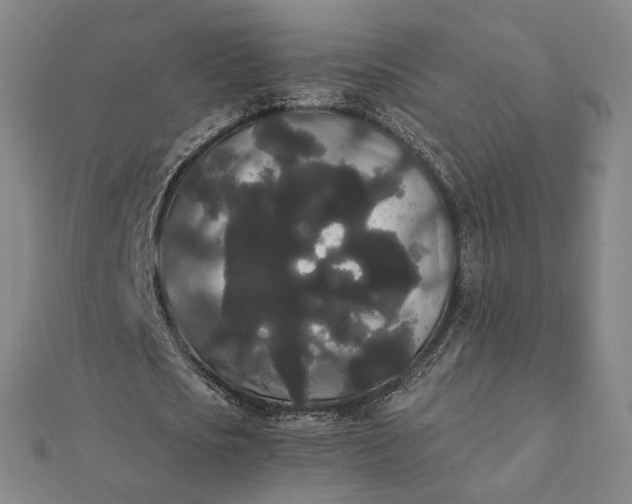 X0000112070721200908181219