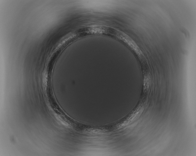 X0000112070722200908181219
