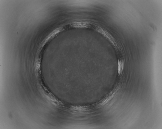 X0000112070723200908181219