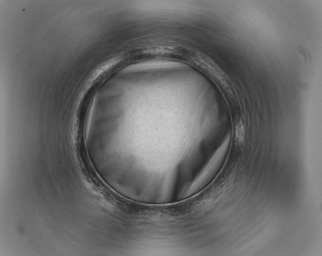 X0000112070724200908181219