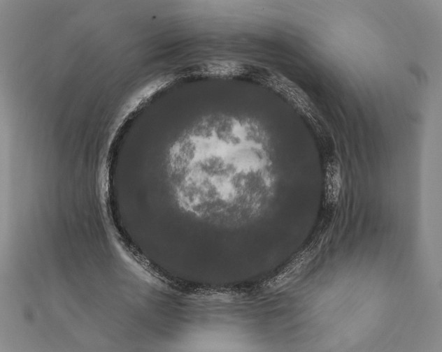 X0000112070726200908181219
