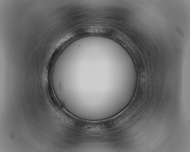 X0000112070727200908181219