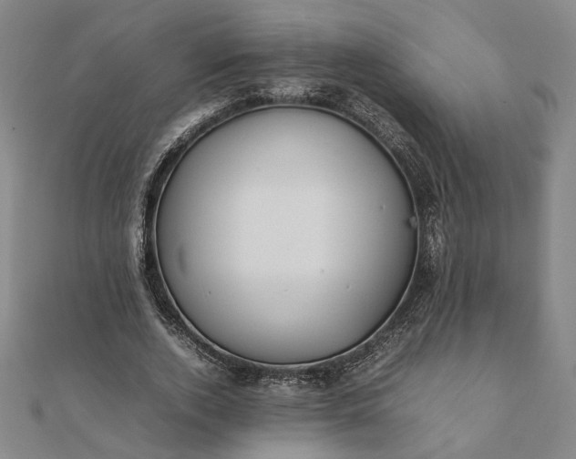 X0000112070728200908181219