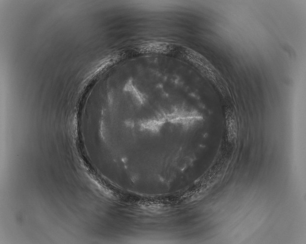 X0000112070729200908181219
