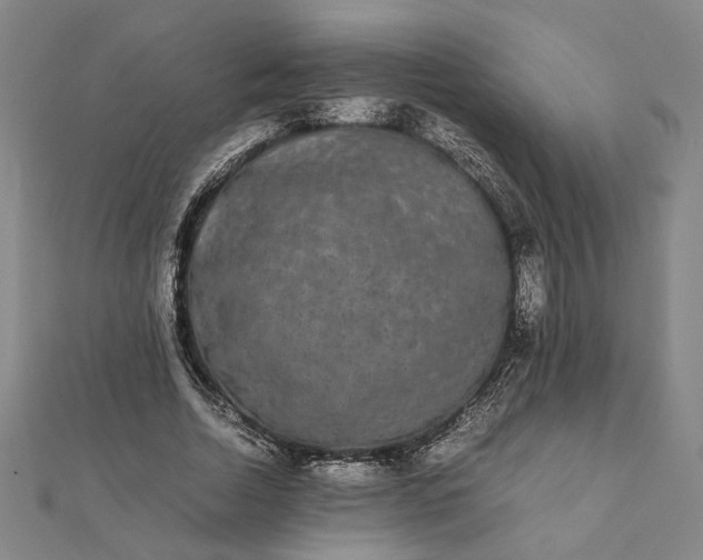 X0000112070730200908181219