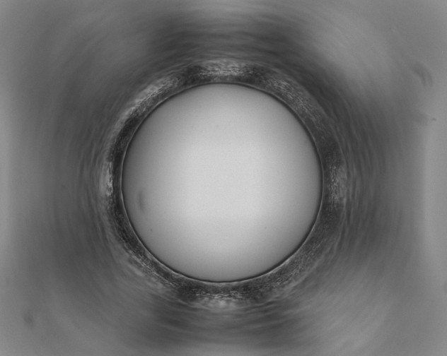 X0000112070731200908181219
