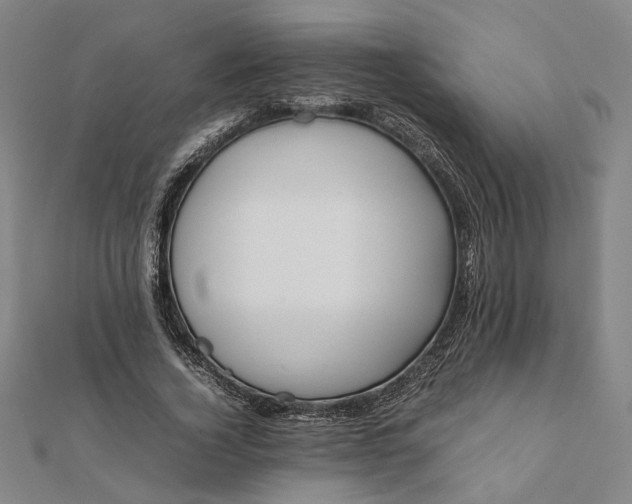 X0000112070732200908181219