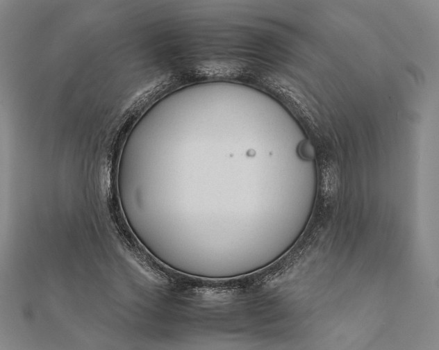 X0000112070733200908181219