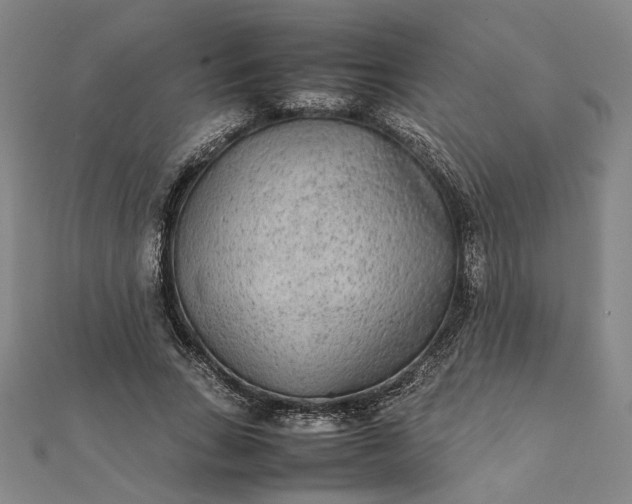 X0000112070735200908181219