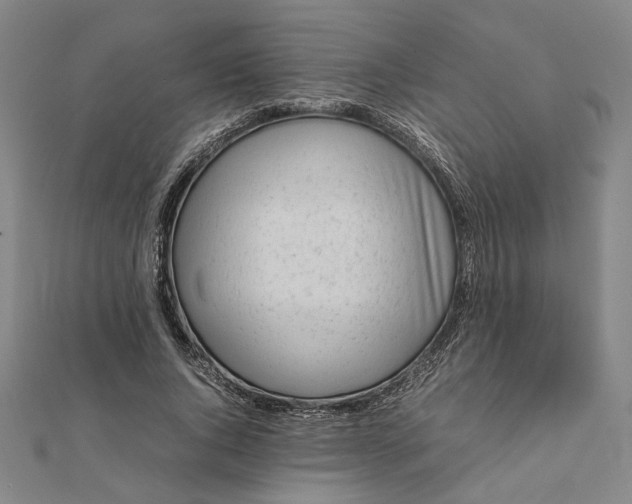 X0000112070736200908181219