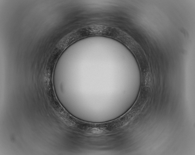 X0000112070737200908181219