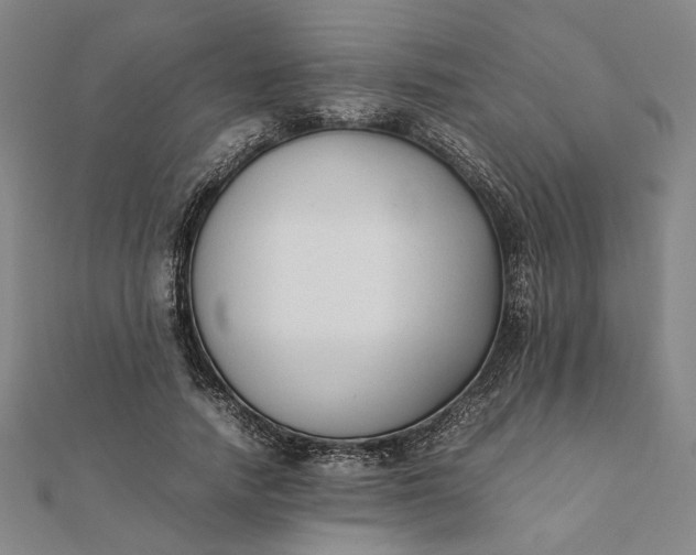 X0000112070738200908181219