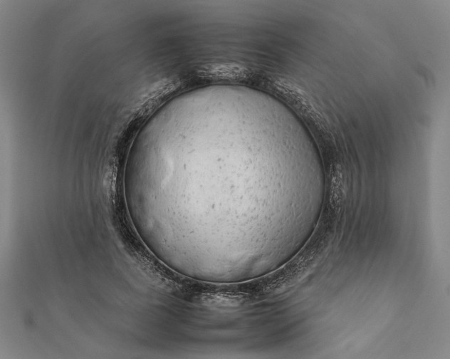 X0000112070739200908181219