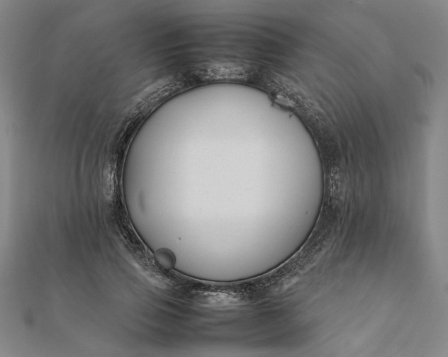 X0000112070741200908181220