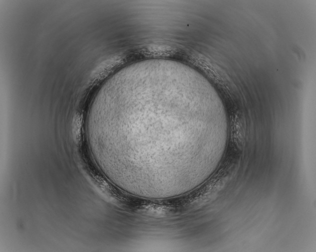 X0000112070742200908181220