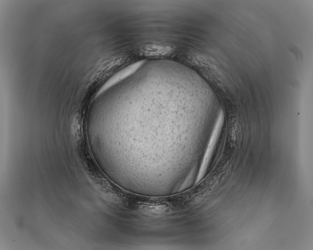 X0000112070743200908181220