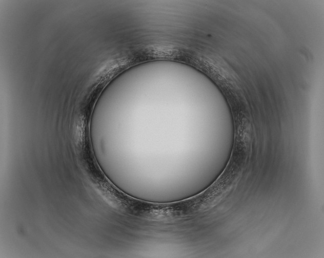 X0000112070744200908181220