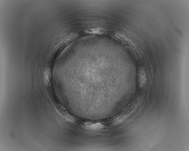 X0000112070747200908181220