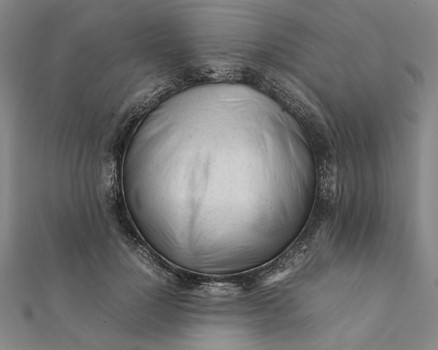 X0000112070748200908181220