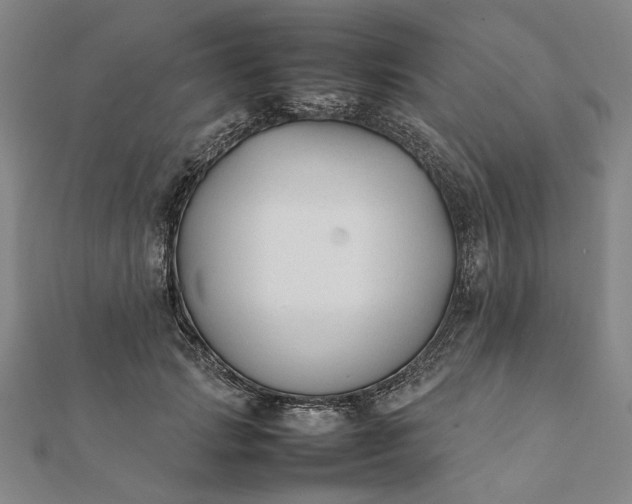 X0000112070749200908181220