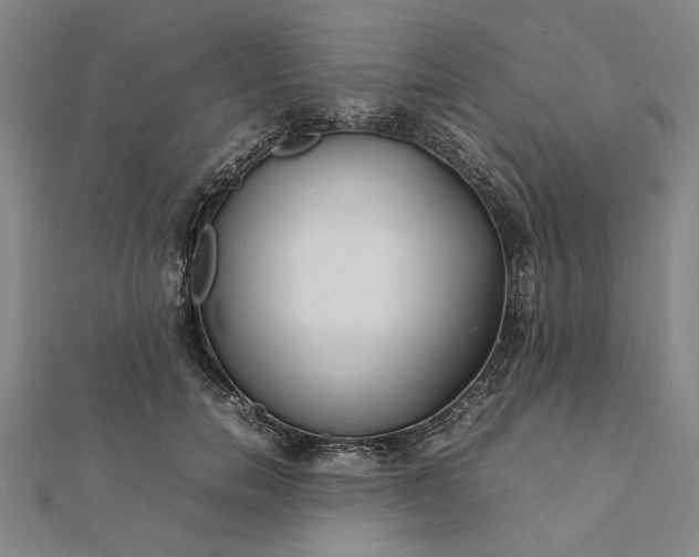 X0000112070750200908181220