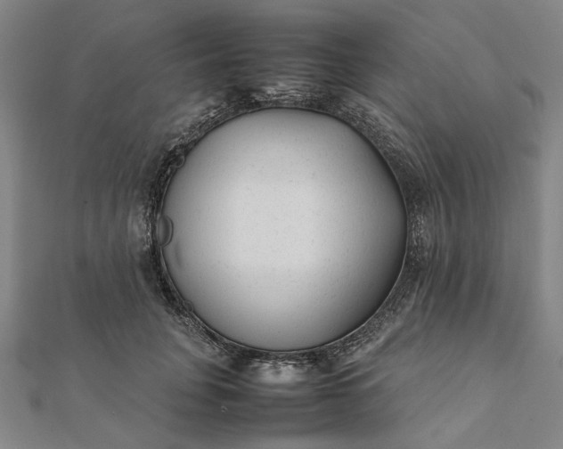 X0000112070751200908181220