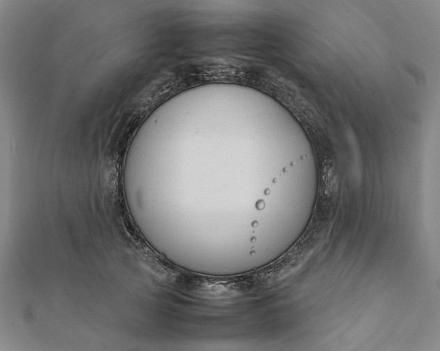X0000112070753200908181220