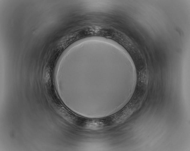 X0000112070754200908181220