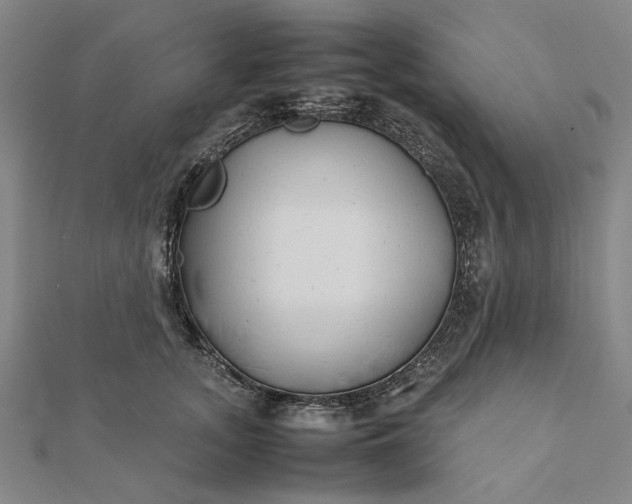 X0000112070755200908181220