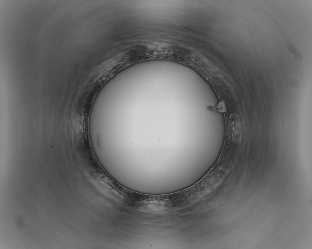 X0000112070756200908181220