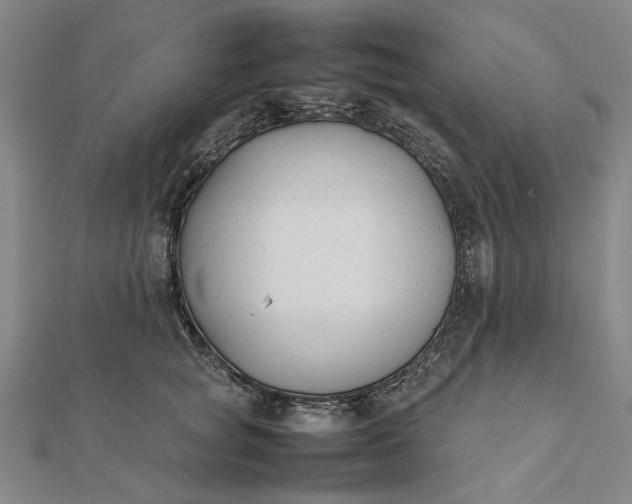 X0000112070757200908181220