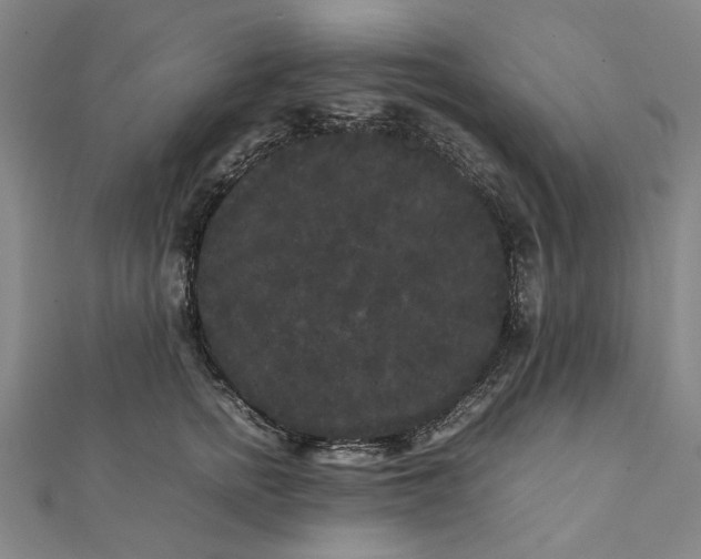 X0000112070758200908181220