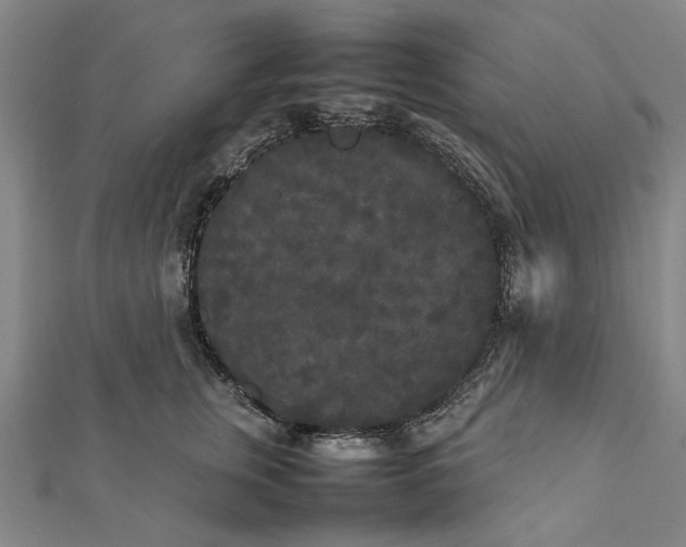 X0000112070759200908181220