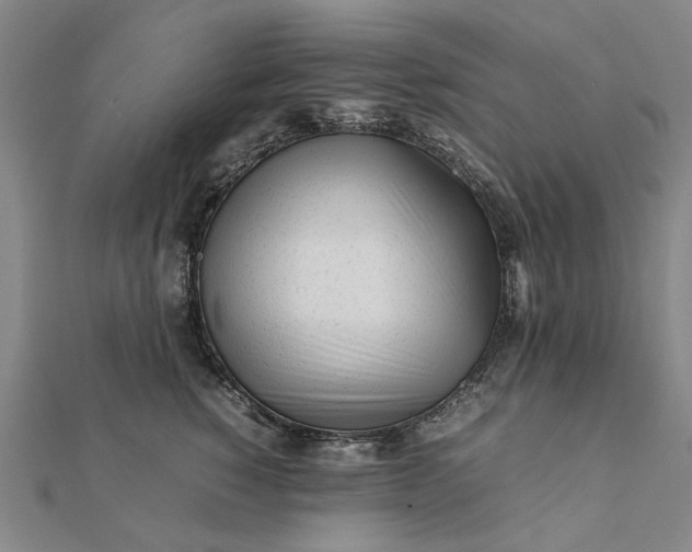 X0000112070760200908181220