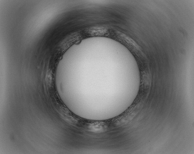 X0000112070761200908181220