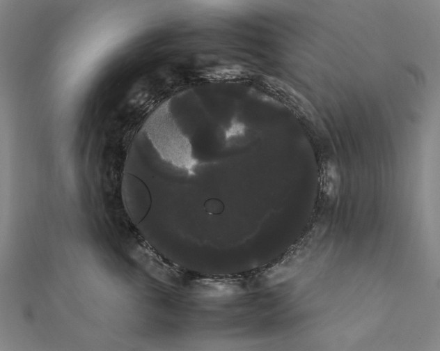 X0000112070763200908181220