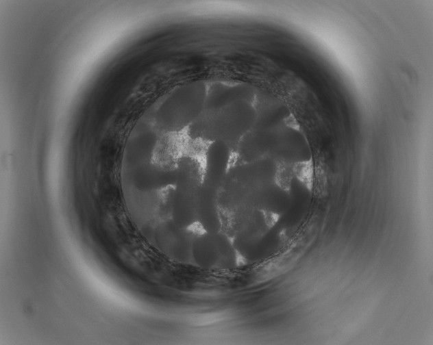 X0000112070765200908181220