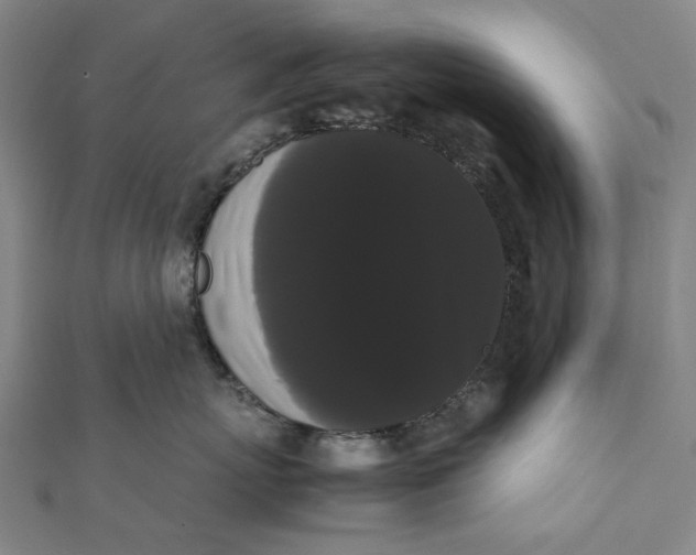 X0000112070767200908181220